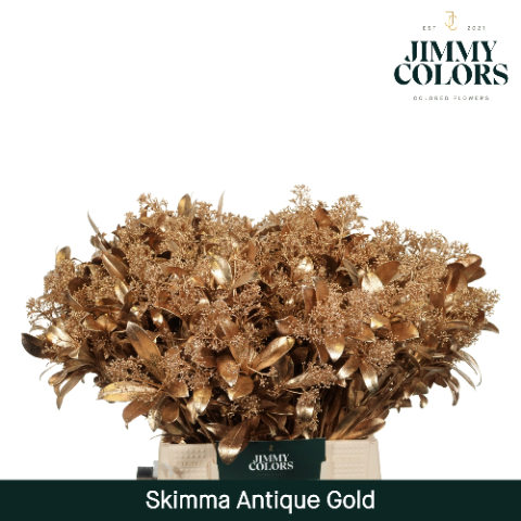 Срезанные цветы оптом Skimmia paint antique gold + glitter от 10шт из Голландии с доставкой по России