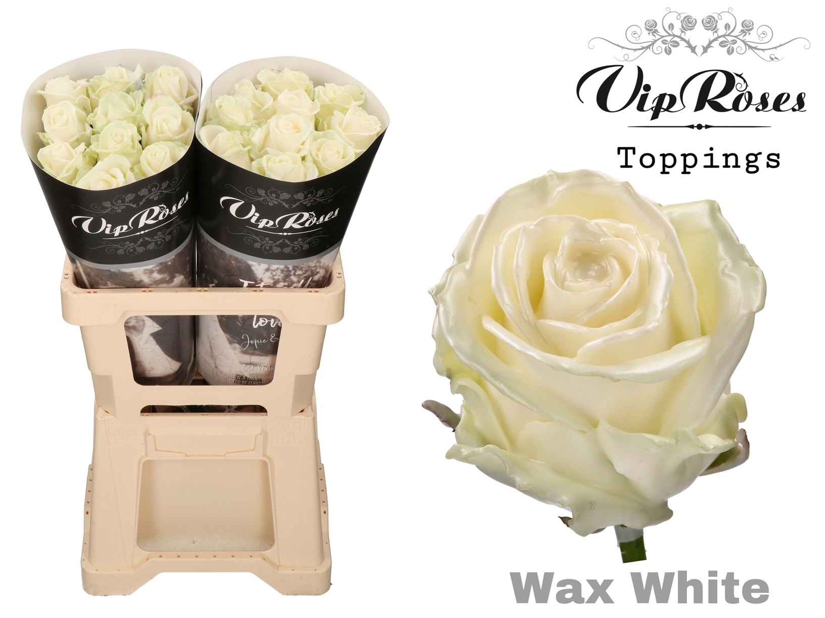 Срезанные цветы оптом Rosa la wax white от 20шт из Голландии с доставкой по России