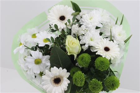 Срезанные цветы оптом Bouquet promo white от 5шт из Голландии с доставкой по России