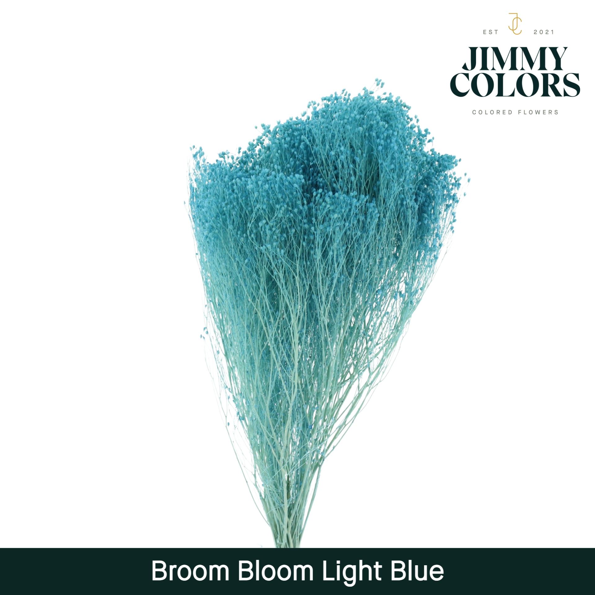 Срезанные цветы оптом Broom bloom paint blue light от 5шт из Голландии с доставкой по России