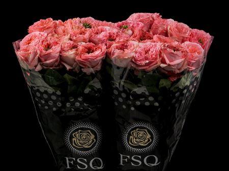 Срезанные цветы оптом Rosa ec mandarin expression от 40шт из Голландии с доставкой по России