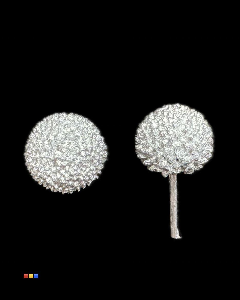 Срезанные цветы оптом Craspedia paint silver от 100шт из Голландии с доставкой по России