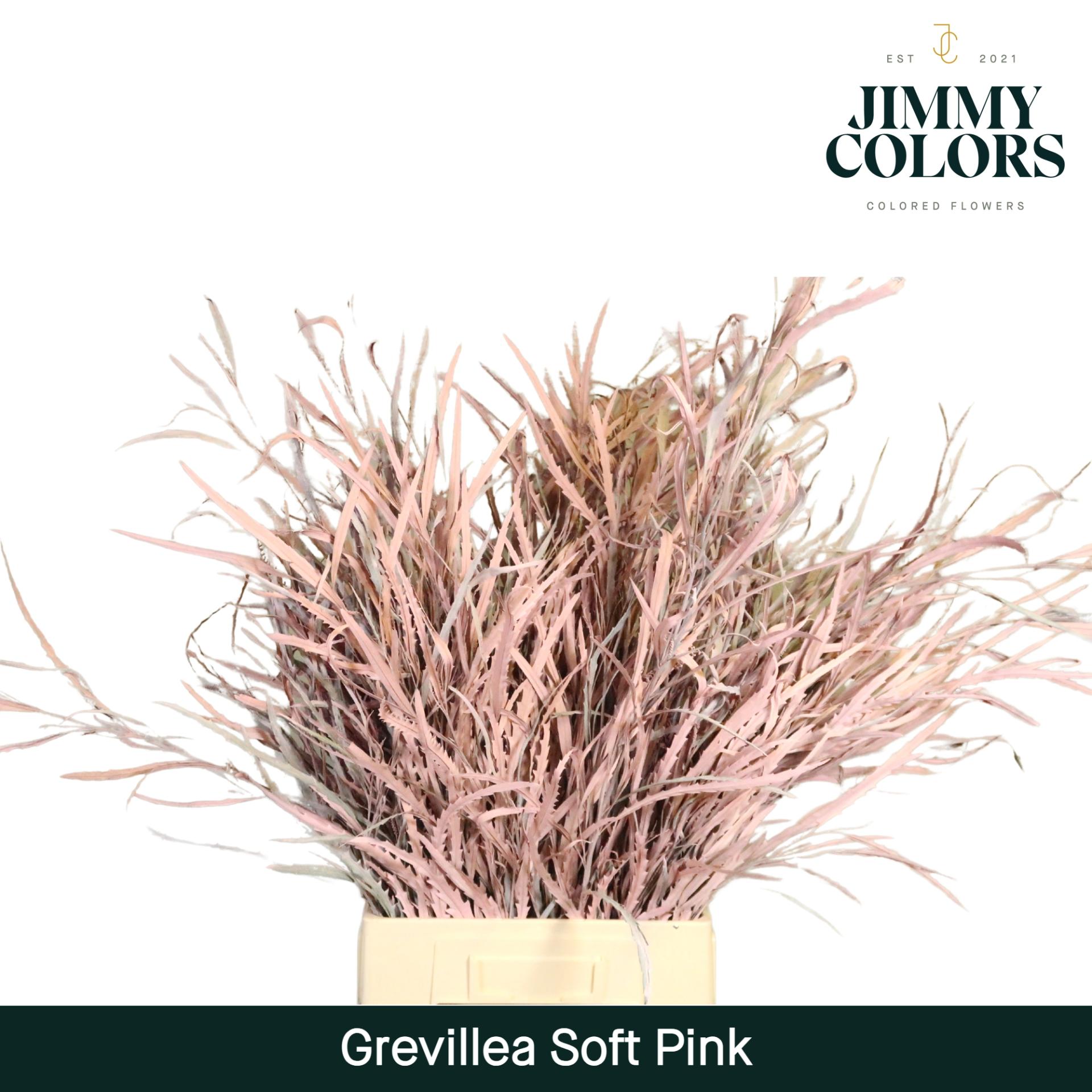 Срезанные цветы оптом Grevillea paint pink от 10шт из Голландии с доставкой по России