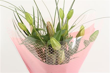 Срезанные цветы оптом Bouquet mono lilium pink 3 от 10шт из Голландии с доставкой по России