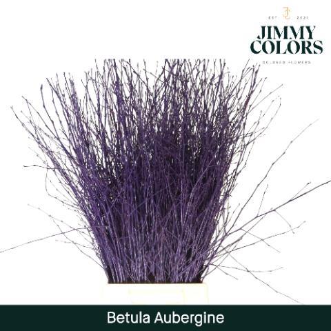 Срезанные цветы оптом Betula paint aubergine от 20шт из Голландии с доставкой по России