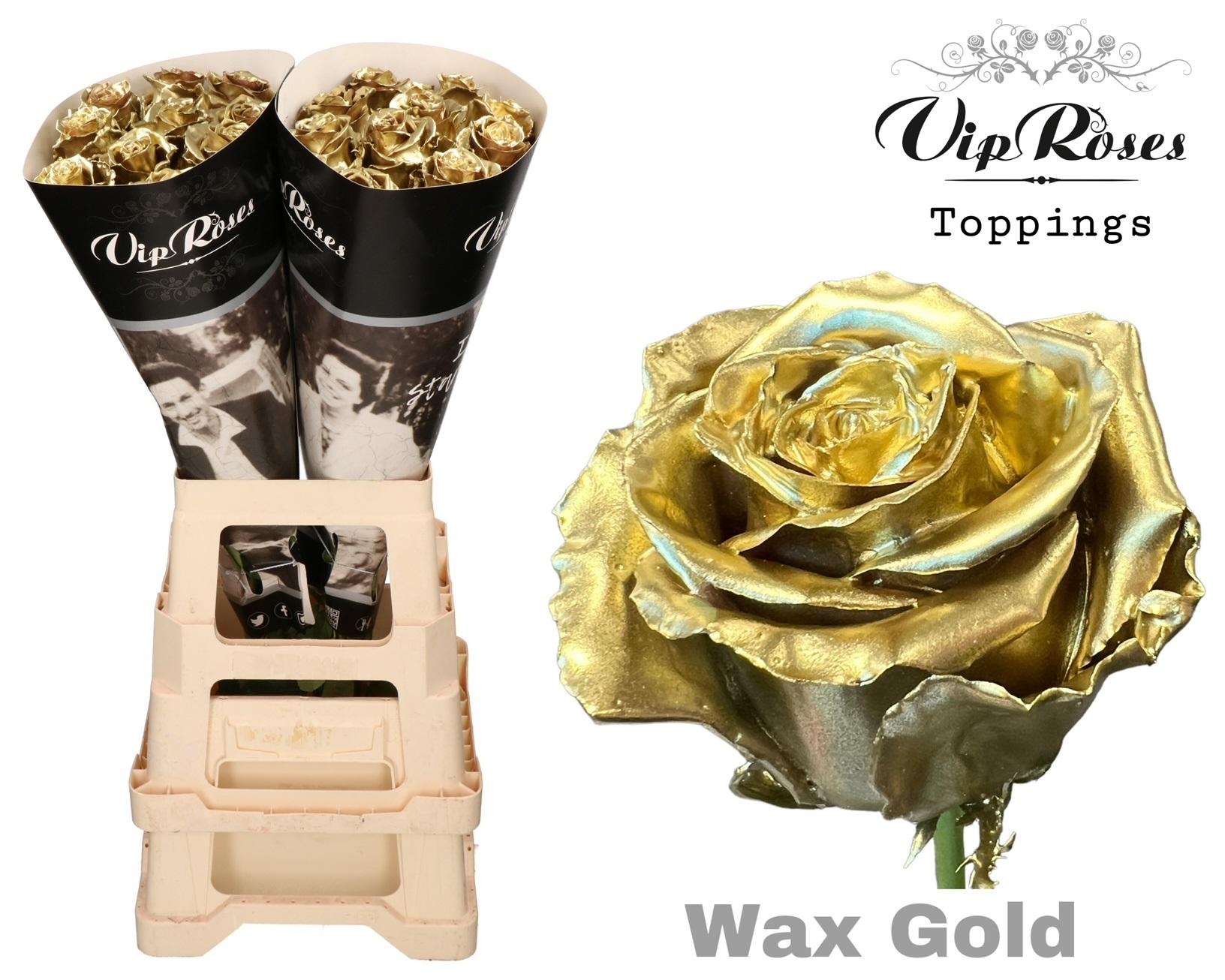 Срезанные цветы оптом Rosa large wax gold от 20шт из Голландии с доставкой по России