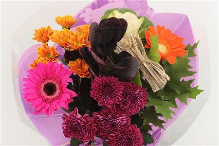 Срезанные цветы оптом Bouquet autumn small от 10шт из Голландии с доставкой по России