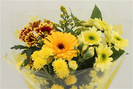 Срезанные цветы оптом Bouquet 5-7 stem yellow от 10шт из Голландии с доставкой по России
