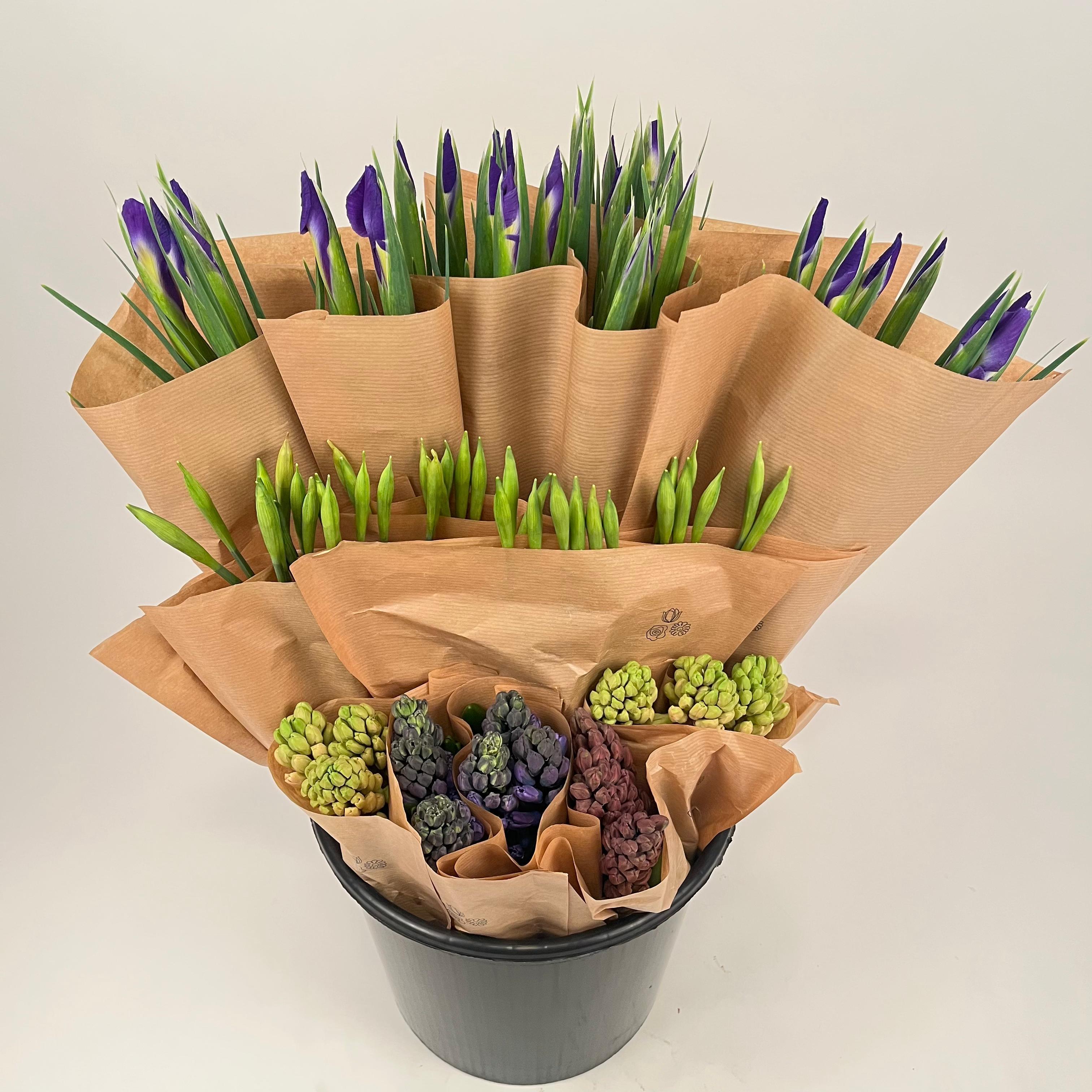 Срезанные цветы оптом Bq mono Spring mix iris,narcis,hyacint от 15шт из Голландии с доставкой по России