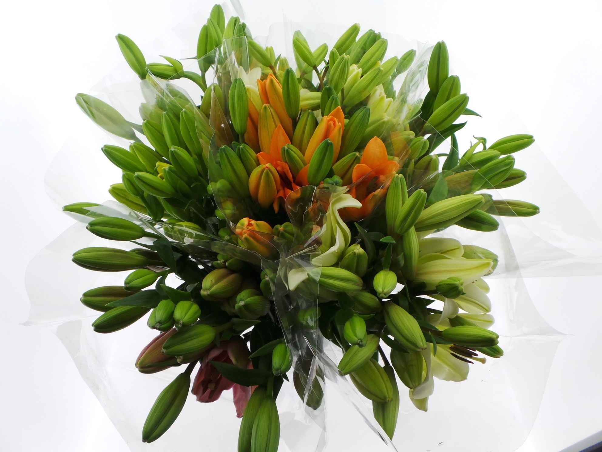 Срезанные цветы оптом Bouquet mono lelie aziaat x5 mix 60cm от 10шт из Голландии с доставкой по России