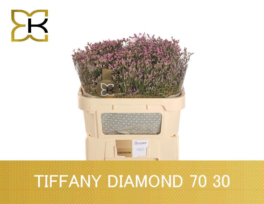 Срезанные цветы оптом Limonium tiffany diamond от 50шт из Голландии с доставкой по России