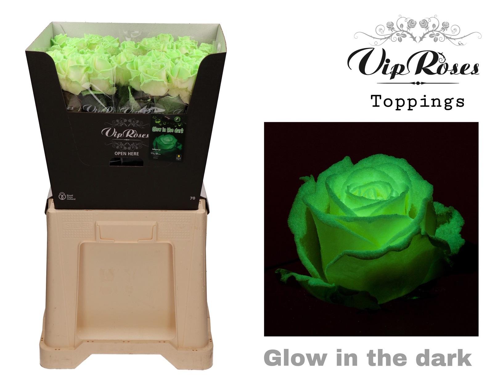 Срезанные цветы оптом Rosa large paint glow in the dark (R99) от 40шт из Голландии с доставкой по России