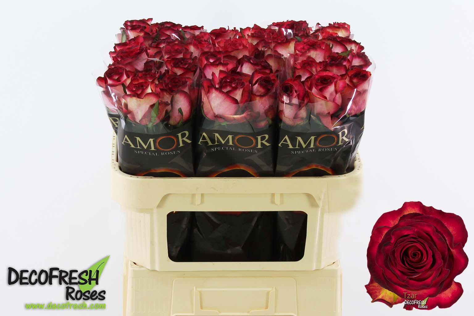 Срезанные цветы оптом Rosa large tzar от 50шт из Голландии с доставкой по России