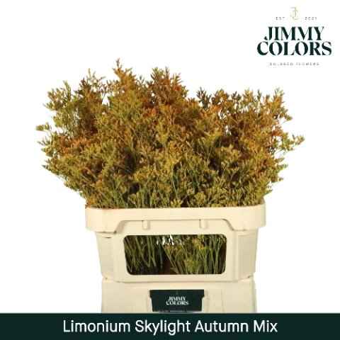 Срезанные цветы оптом Limonium skylight paint mix autumn от 25шт из Голландии с доставкой по России