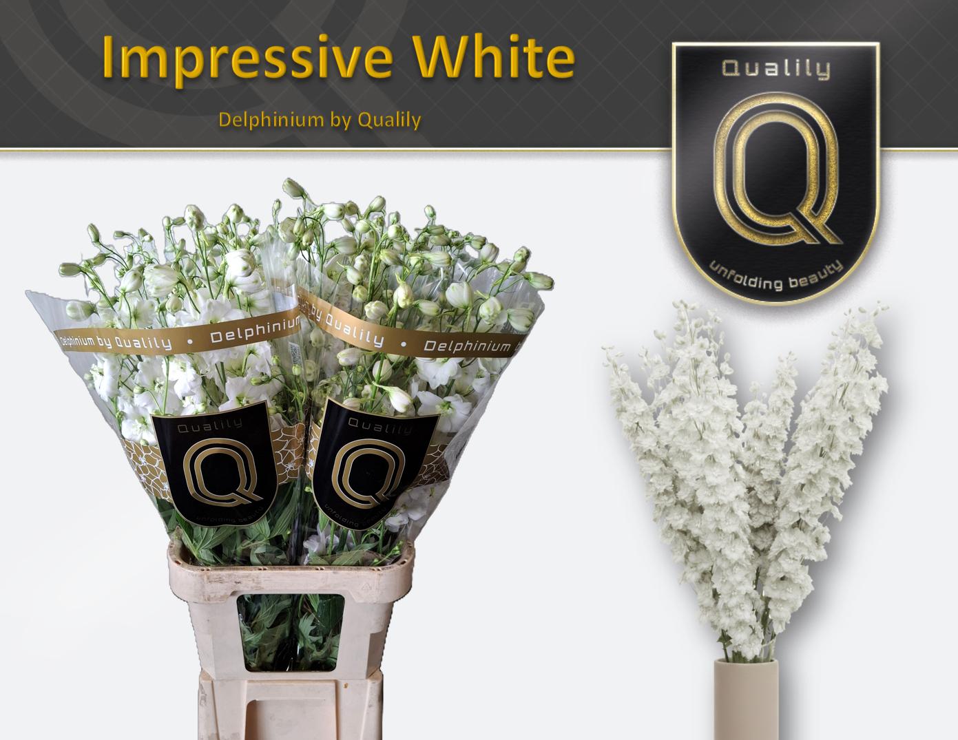 Срезанные цветы оптом Delphinium do el dewi impressive white от 30шт из Голландии с доставкой по России
