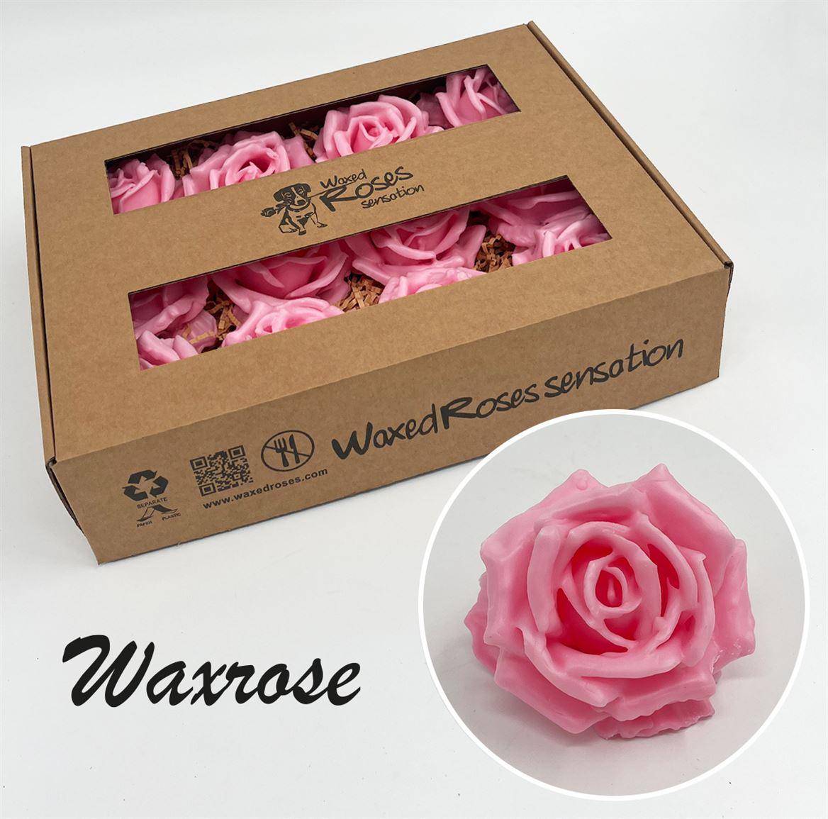 Срезанные цветы оптом Rosa large silk wax pink от 12шт из Голландии с доставкой по России