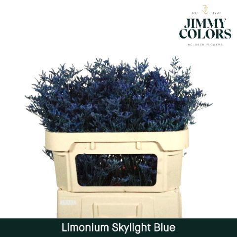 Срезанные цветы оптом Limonium paint blue от 50шт из Голландии с доставкой по России