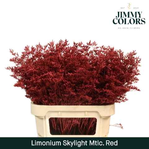 Срезанные цветы оптом Limonium skylight paint metallic red от 75шт из Голландии с доставкой по России
