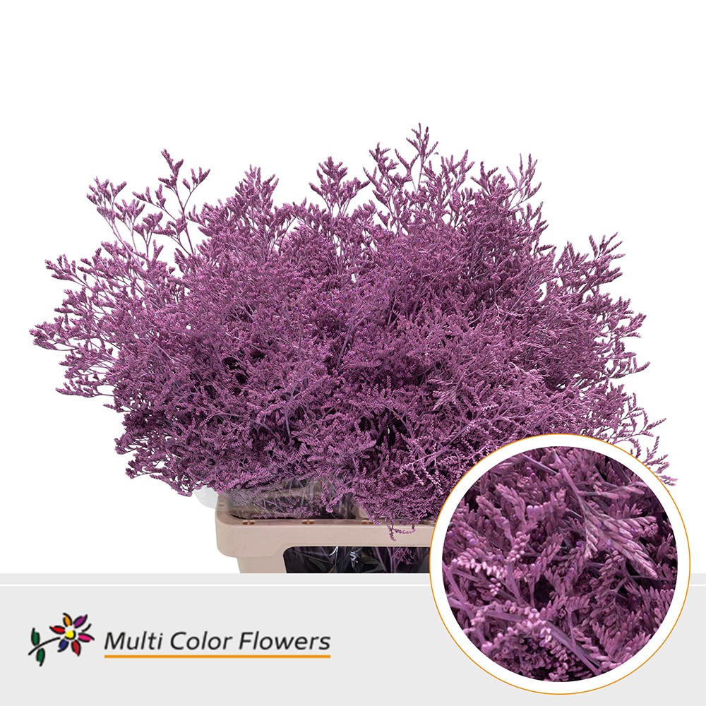 Срезанные цветы оптом Limonium paint pink от 50шт. из Голландии с доставкой по России