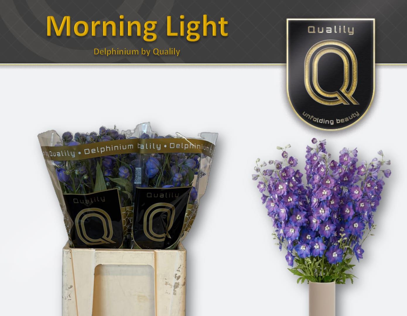 Срезанные цветы оптом Delphinium el du delphis morninglight от 40шт из Голландии с доставкой по России