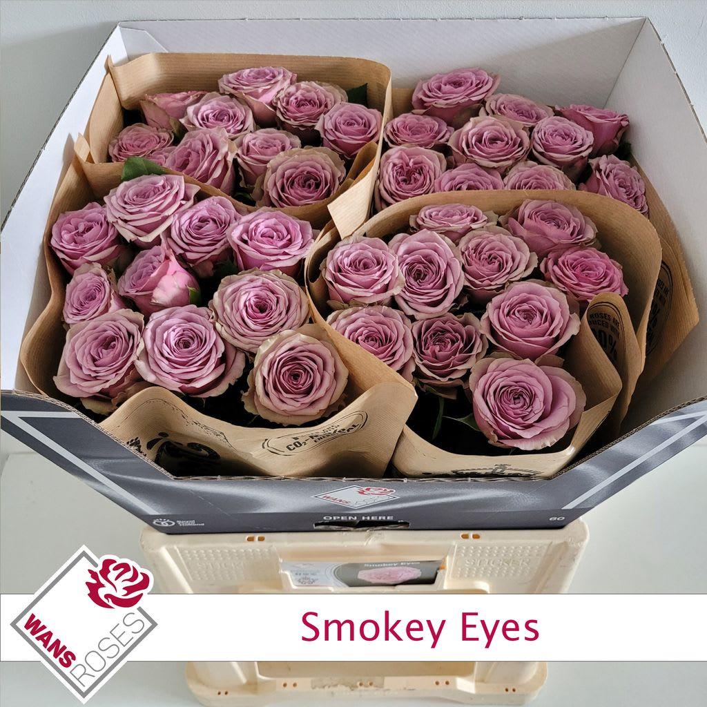 Срезанные цветы оптом Rosa garden smokey eyes от 40шт из Голландии с доставкой по России