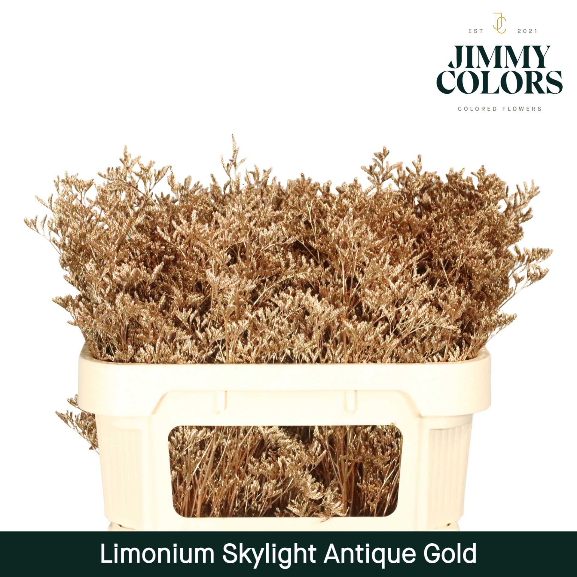 Срезанные цветы оптом Limonium paint antique gold от 25шт из Голландии с доставкой по России