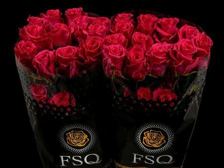 Срезанные цветы оптом Rosa ec gotcha от 20шт из Голландии с доставкой по России