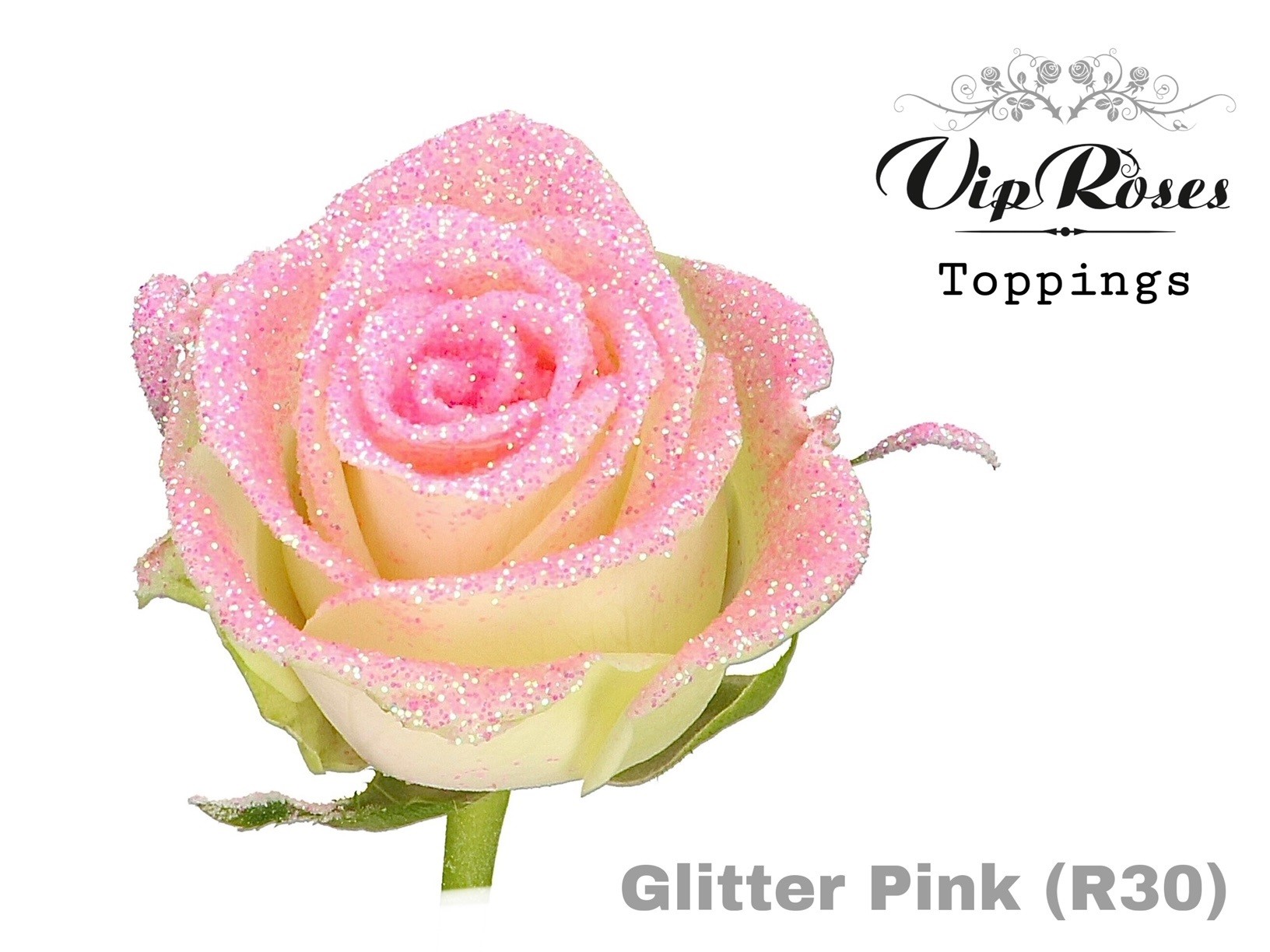 Срезанные цветы оптом Rosa large paint glitter pink light (R32) от 20шт из Голландии с доставкой по России
