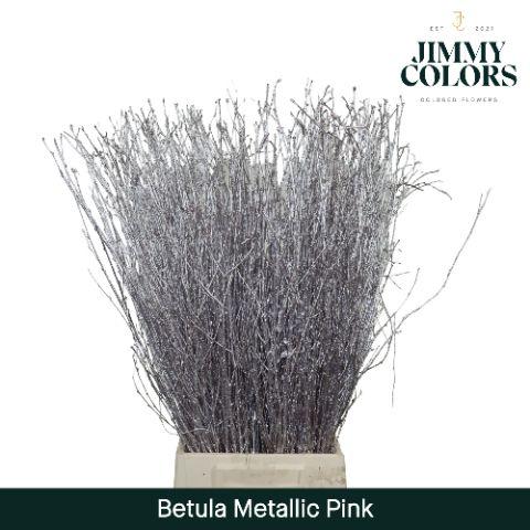 Срезанные цветы оптом Betula paint metallic pink от 10шт из Голландии с доставкой по России