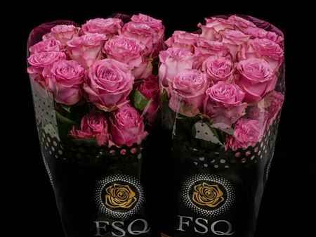Срезанные цветы оптом Rosa ec queens crown от 40шт из Голландии с доставкой по России
