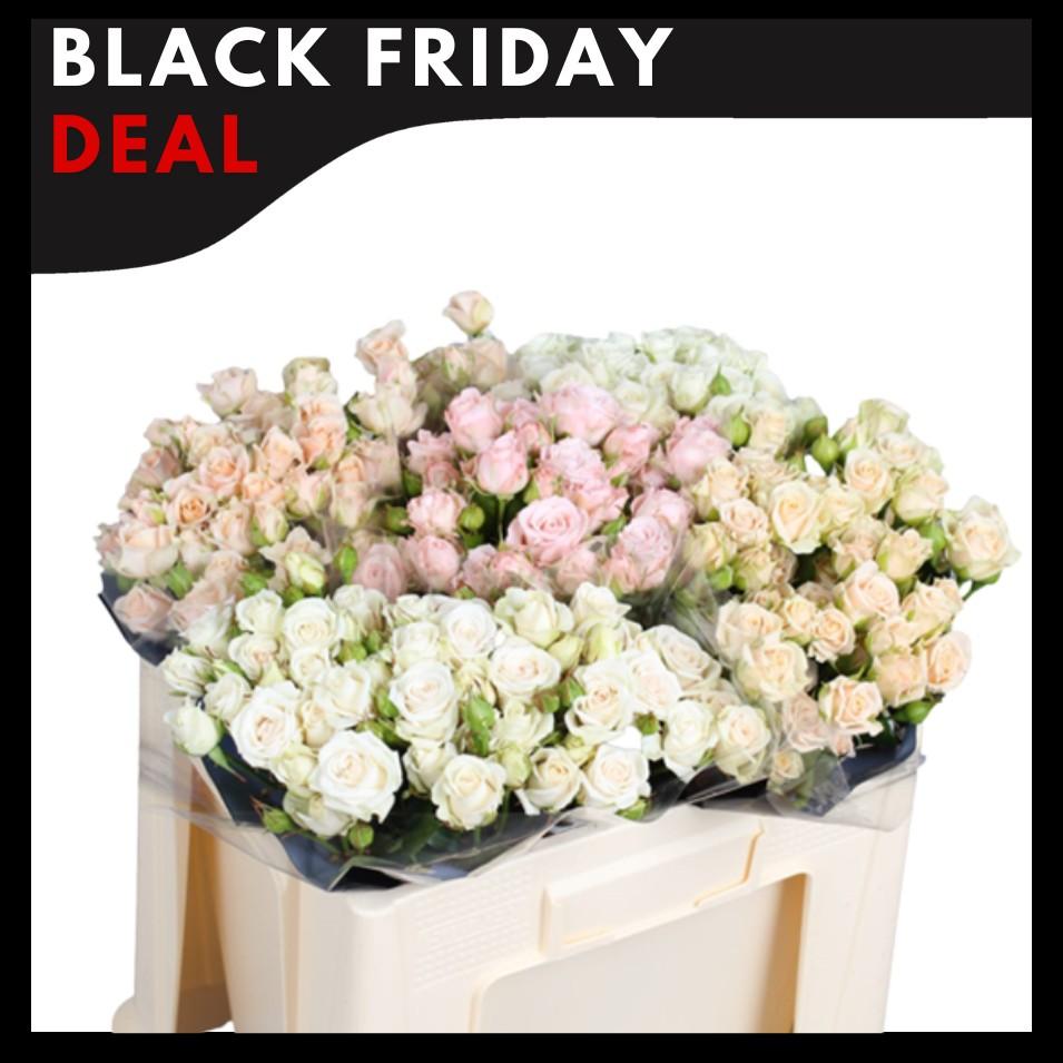 Срезанные цветы оптом Rosa spray mix pastel Voorn от 50шт из Голландии с доставкой по России