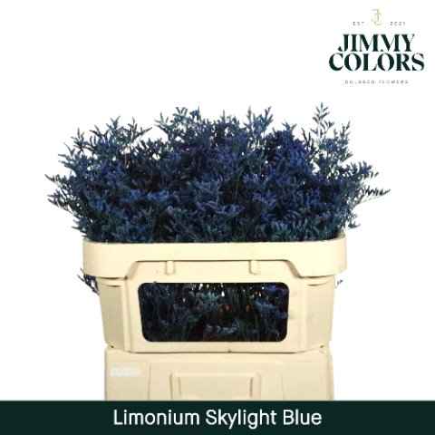 Срезанные цветы оптом Limonium skylight paint blue от 25шт из Голландии с доставкой по России