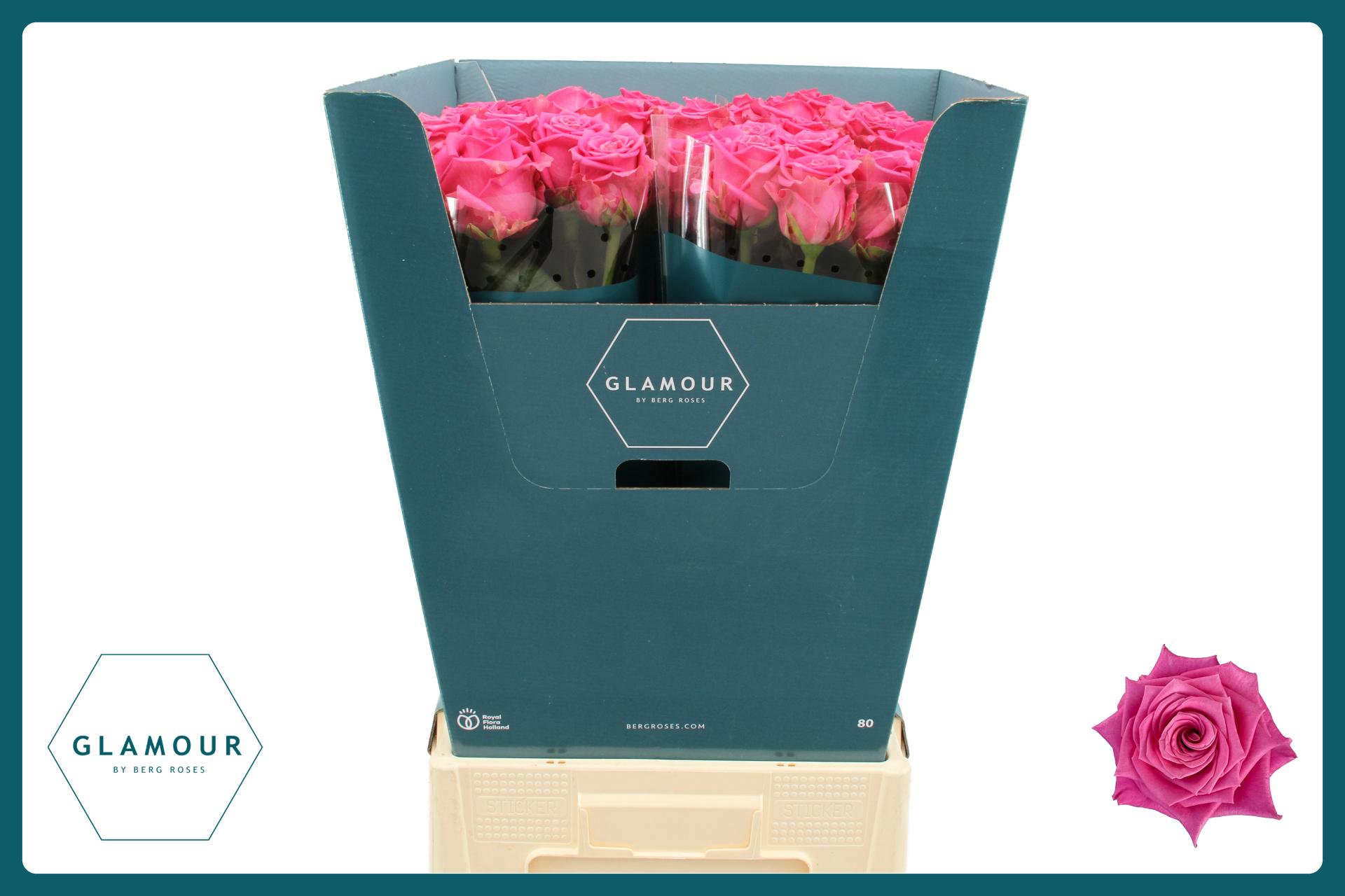 Срезанные цветы оптом Rosa large charlotte от 40шт из Голландии с доставкой по России