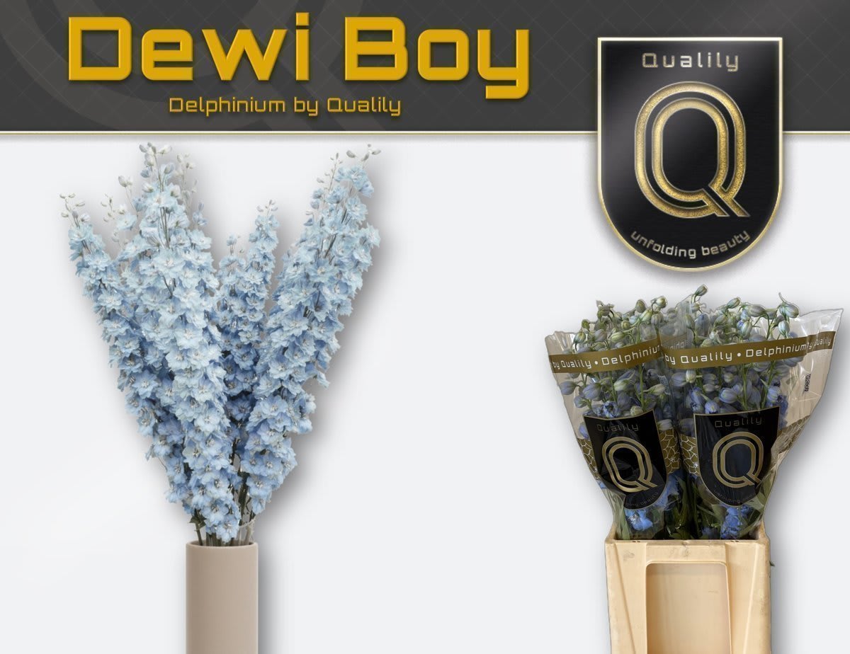 Срезанные цветы оптом Delphinium el dewi boy от 40шт из Голландии с доставкой по России