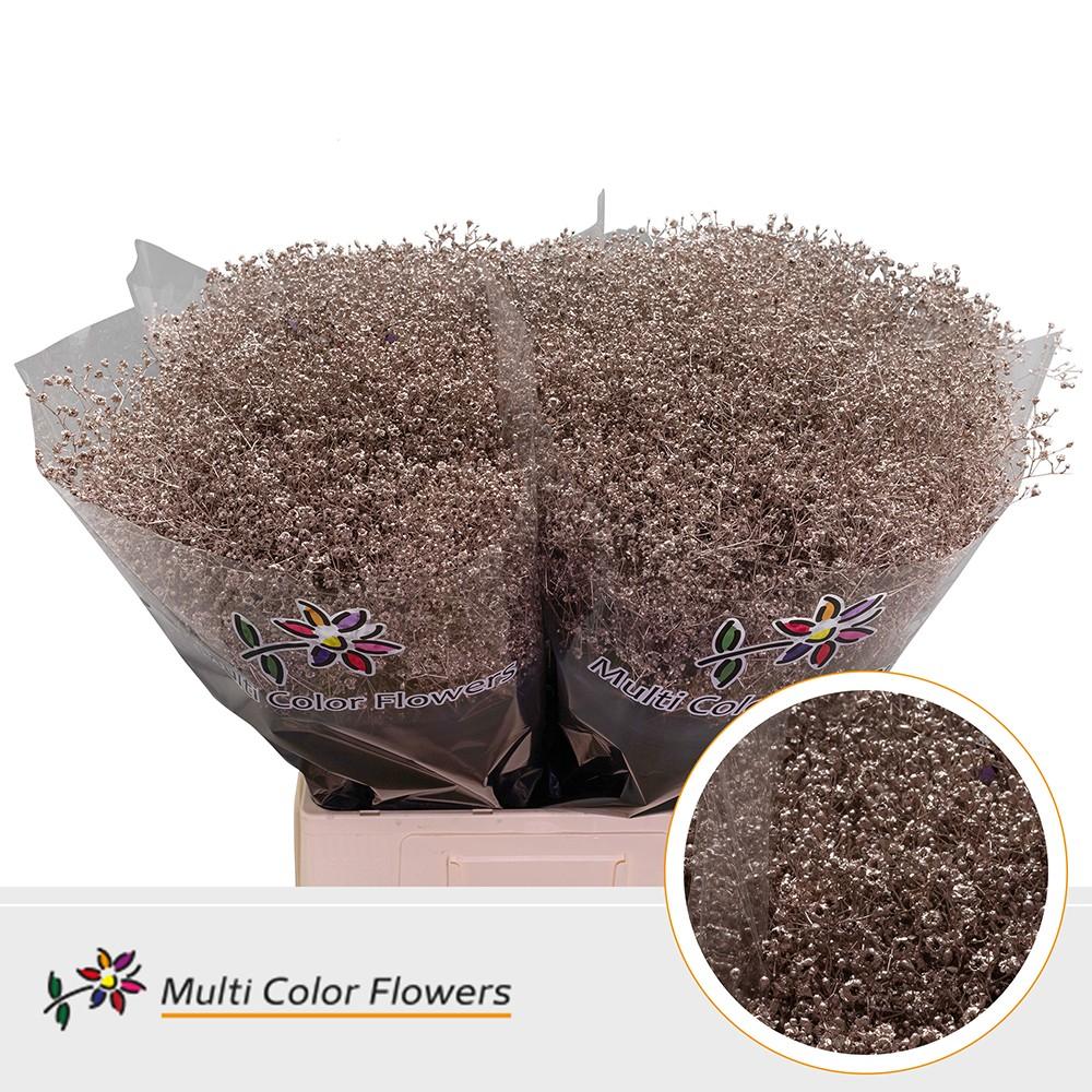 Срезанные цветы оптом Gyps fine paint champagne от 100шт из Голландии с доставкой по России