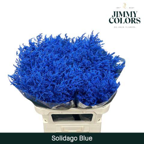 Срезанные цветы оптом Solidago paint blue от 25шт из Голландии с доставкой по России