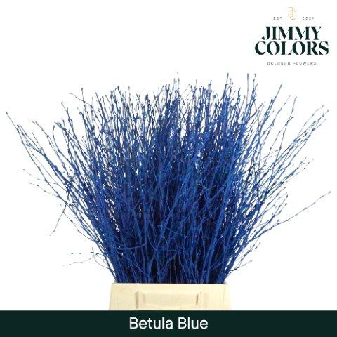 Срезанные цветы оптом Betula paint metallic blue от 10шт из Голландии с доставкой по России