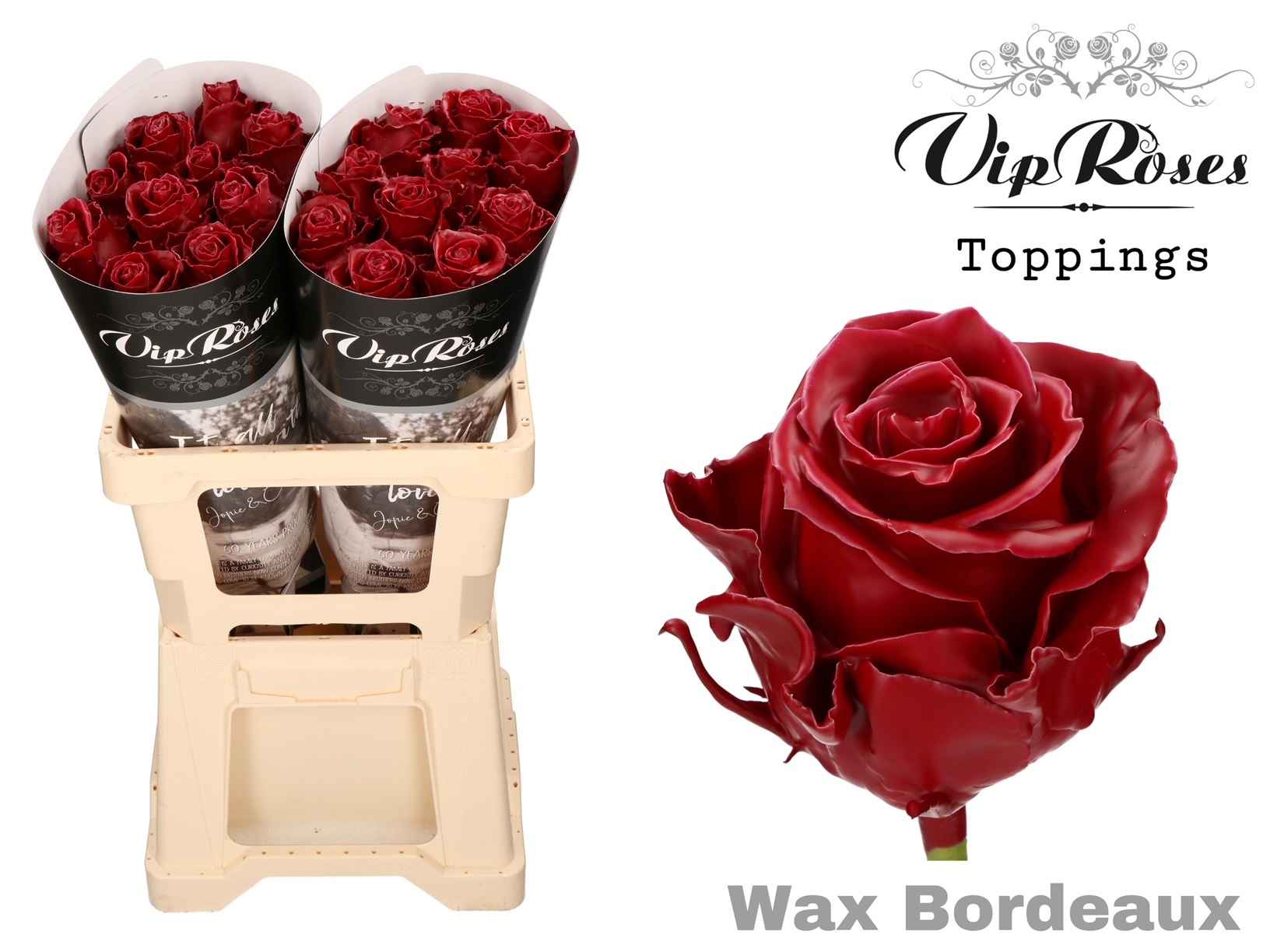 Срезанные цветы оптом Rosa la wax bordeaux от 20шт из Голландии с доставкой по России