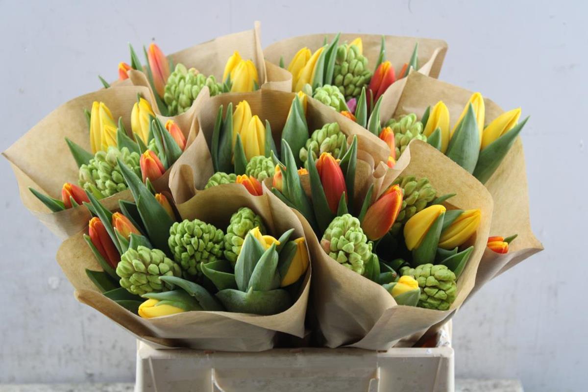 Срезанные цветы оптом Hyacinthus от 7шт из Голландии с доставкой по России