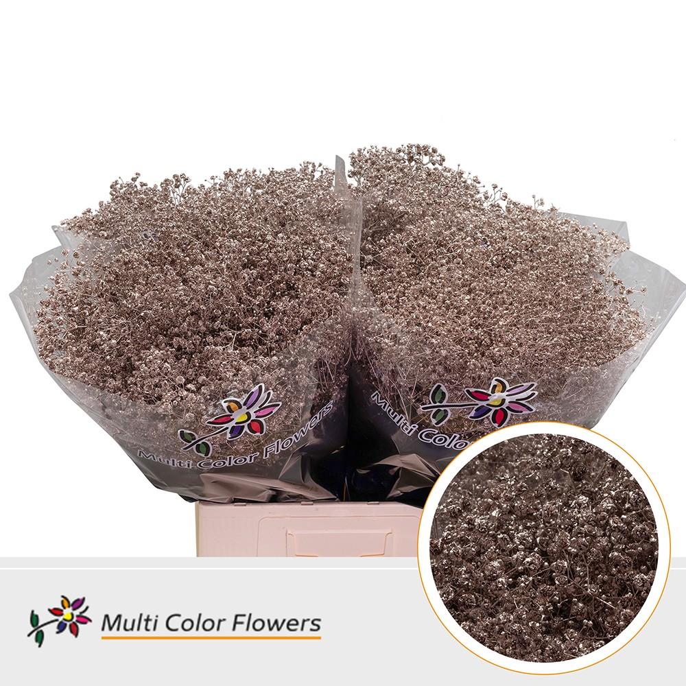 Срезанные цветы оптом Gyps large paint champagne от 100шт из Голландии с доставкой по России