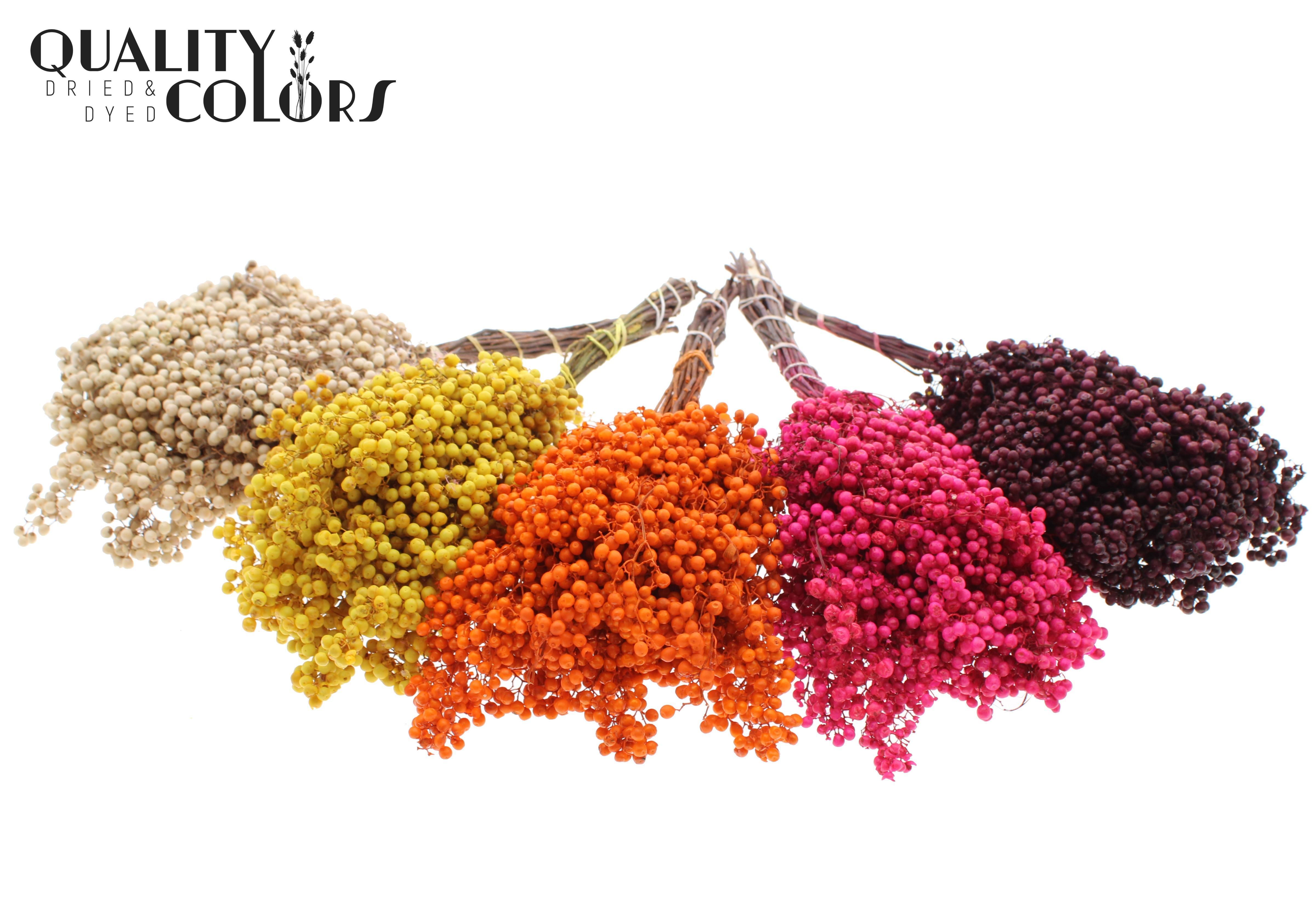 Срезанные цветы оптом Pepperberries per bunch in poly Mixed colours Autu от 5шт из Голландии с доставкой по России