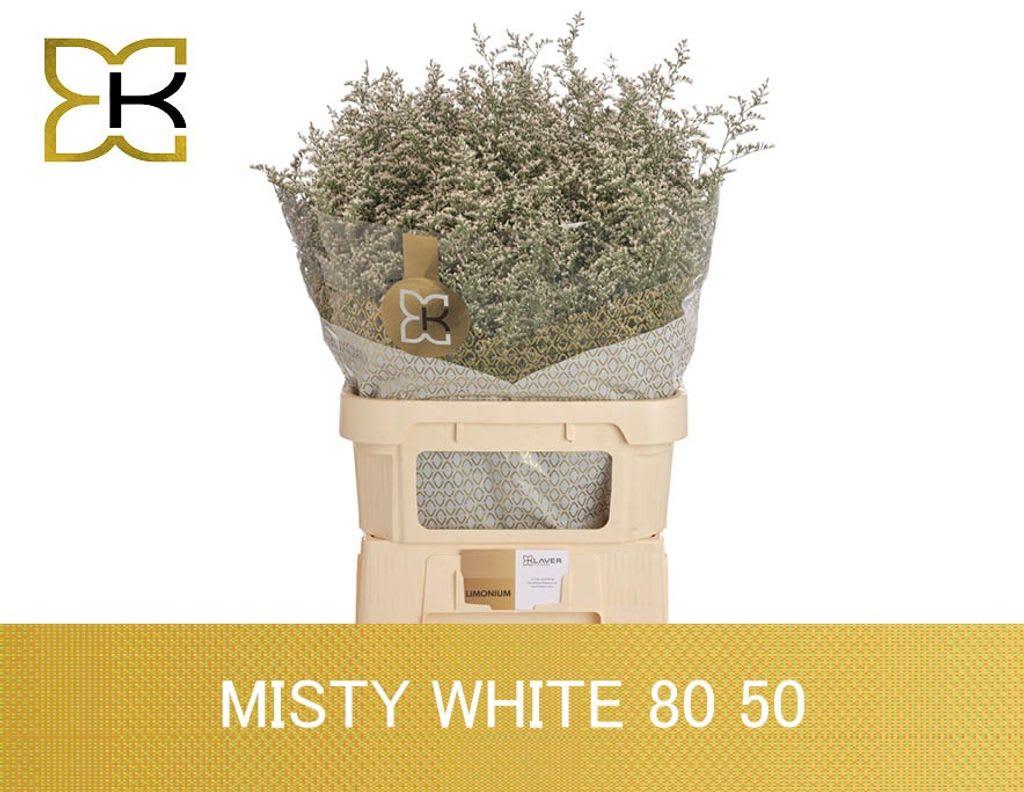 Срезанные цветы оптом Limonium misty white от 50шт из Голландии с доставкой по России