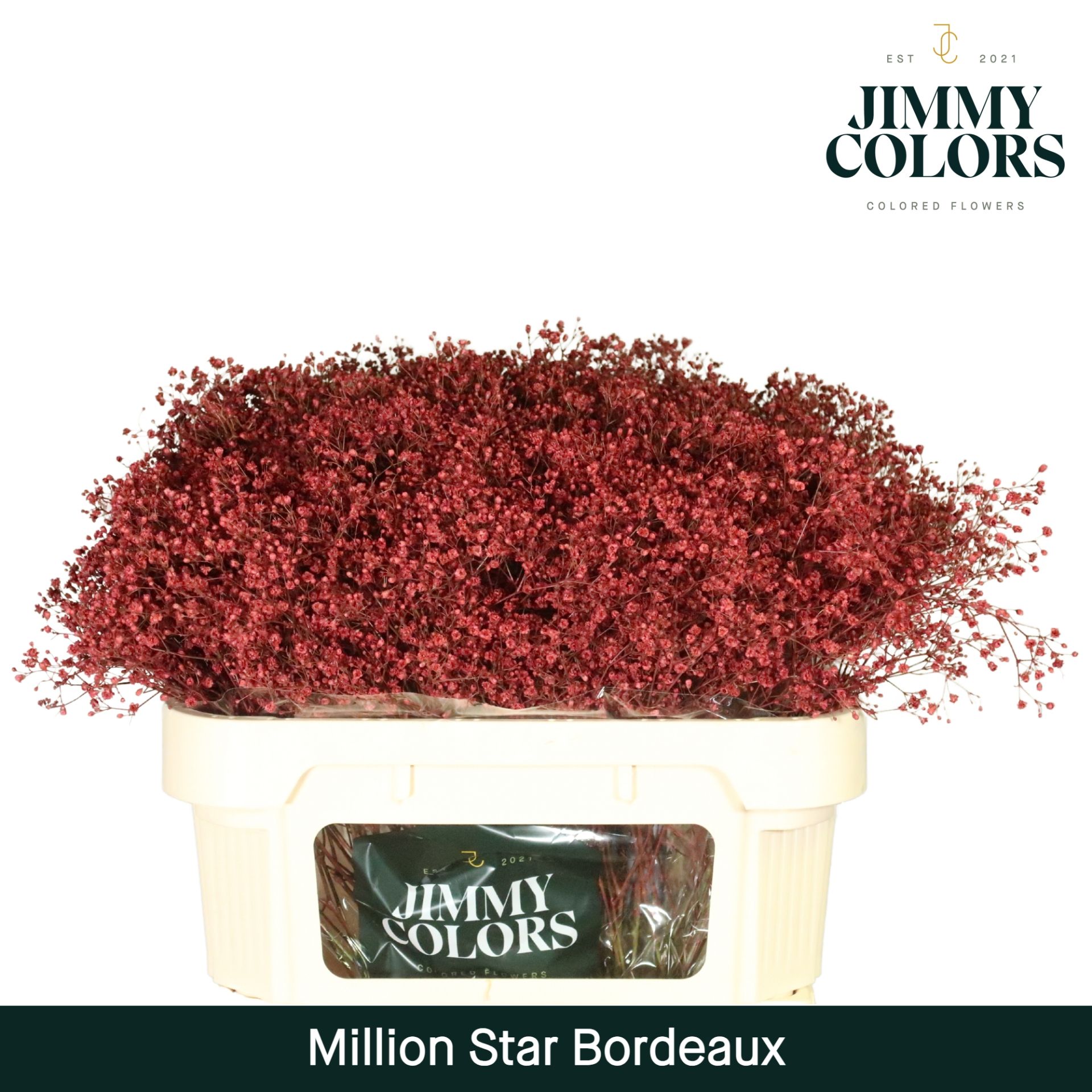 Срезанные цветы оптом Gyps fine paint bordeaux от 25шт из Голландии с доставкой по России