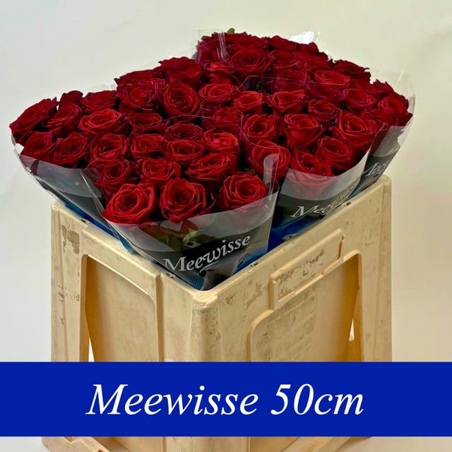 Срезанные цветы оптом Rosa large red naomi! от 60шт... из Голландии с доставкой по России