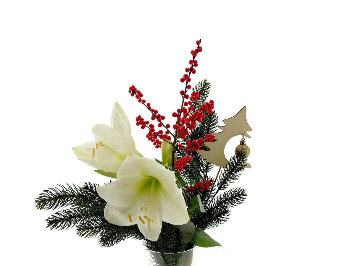 Срезанные цветы оптом BQ Artic от 6шт из Голландии с доставкой по России