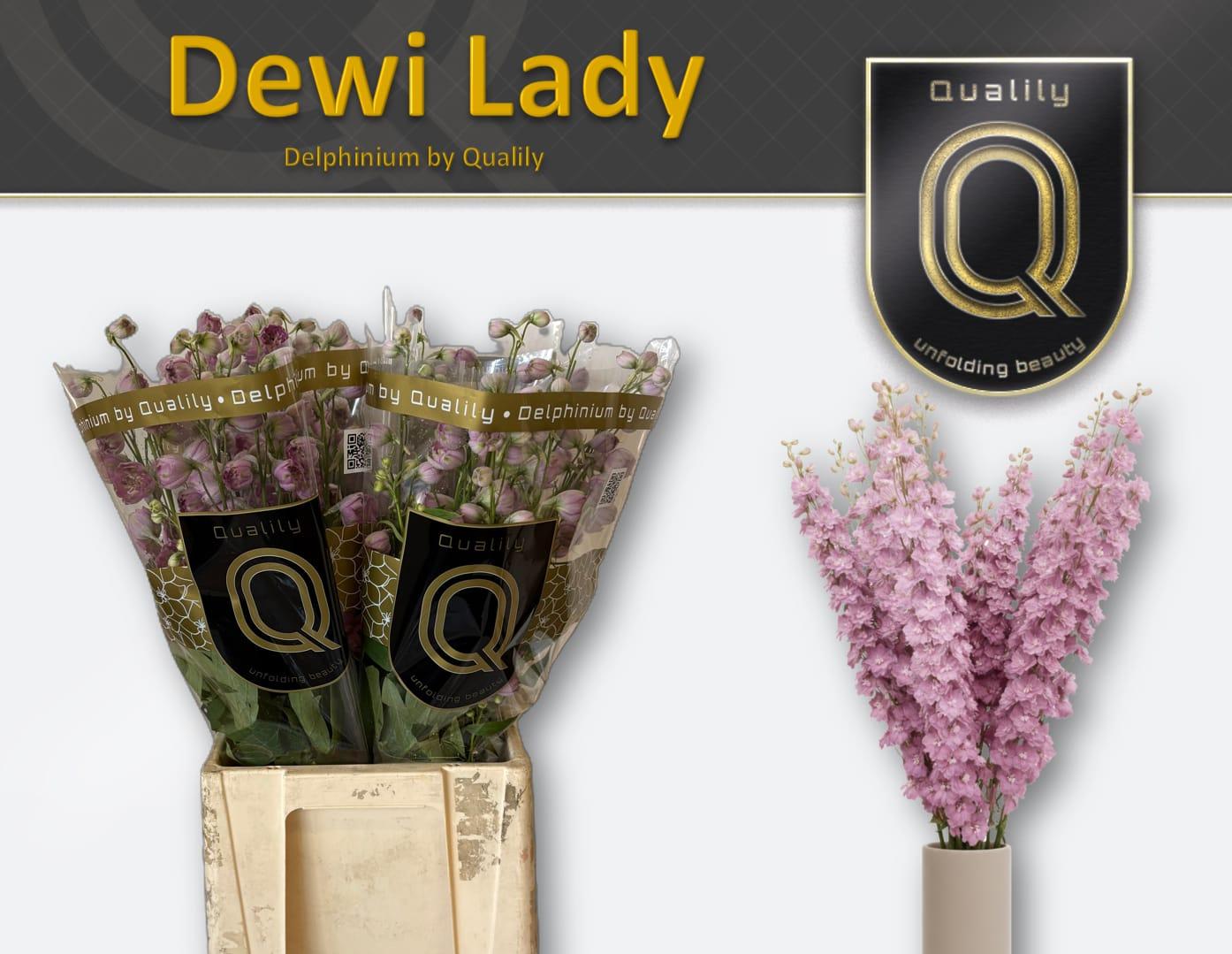 Срезанные цветы оптом Delphinium el du dewi lady от 40шт из Голландии с доставкой по России