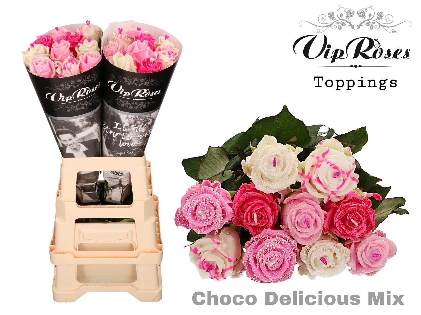 Срезанные цветы оптом Rosa large paint choco delicious mix от 40шт. из Голландии с доставкой по России