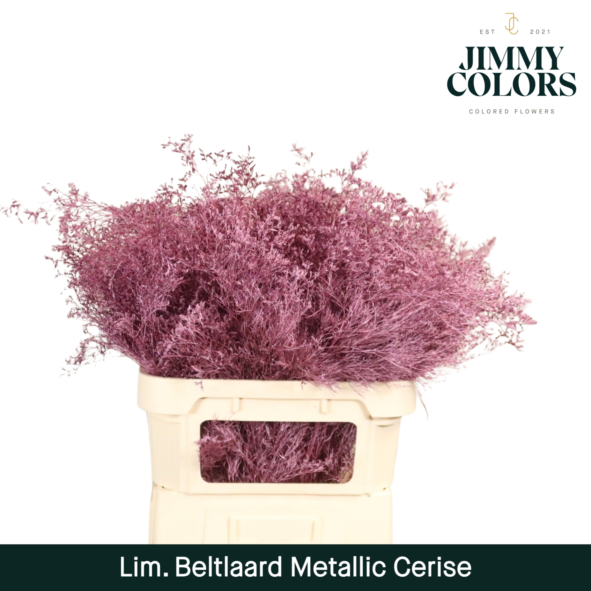 Срезанные цветы оптом Limonium beltlaard paint metallic cerise от 25шт. из Голландии с доставкой по России