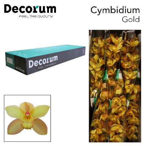 Срезанные цветы оптом Cymbidium gold от 6шт из Голландии с доставкой по России