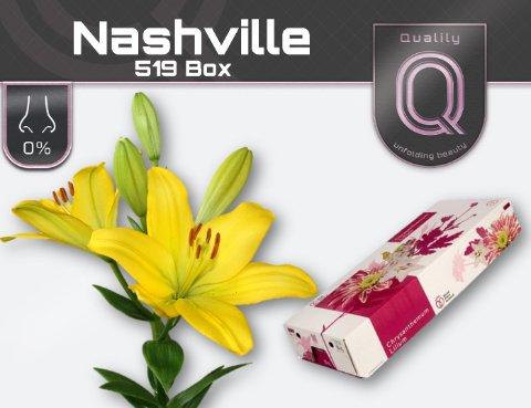 Срезанные цветы оптом Lilium la nashville от 60шт. из Голландии с доставкой по России